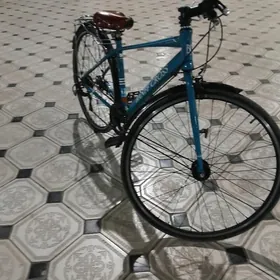 27lik spartivny velik