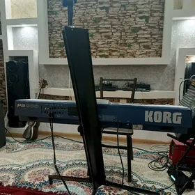 Korg pa 800 we pauk stoyka