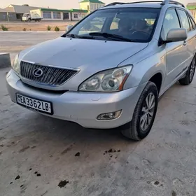 Lexus RX 330 2004