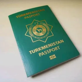 Pasport yitdi