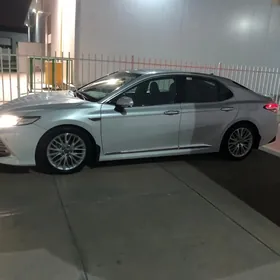 safyor waditel suruji