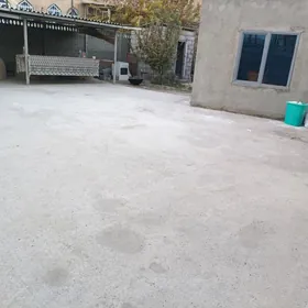 pekarnyý arenda berilyar