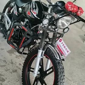 Fekon FK200-14G 2025