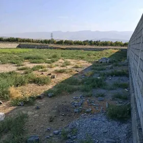 gypjak mellek 12.5 stok gyssag