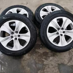 Haylandr disga teker arginal