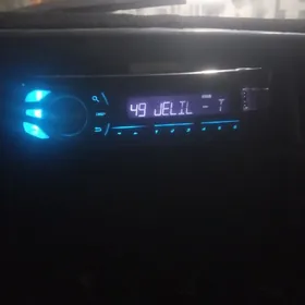 pioneer 1550 arginal