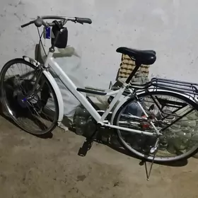 27lik welik27lik welik