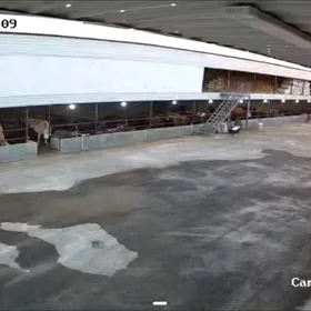 maldarcylyk ferma isgàr gerek