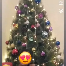 yolka arça ёлка