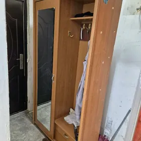 прихожая купэ