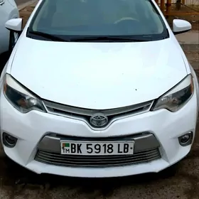 Toyota Corolla 2013