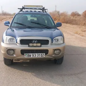 Hyundai Santa Fe 2002