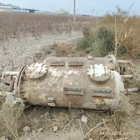 Бочга кампесир