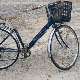 27 lik yaposga tigir