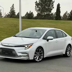 Toyota Corolla 2024
