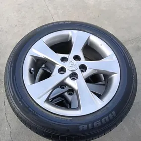 16 Karolo disga pakrişga