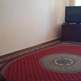 arenda komnat gyzlara