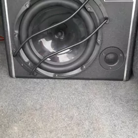 Bas bocka kalonka Tyulpan