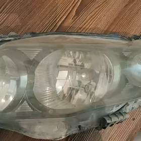 katolla fara 2008 2010 aralyk