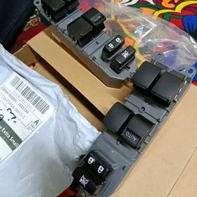 OKUZ KELLE AYNA KNOPKA