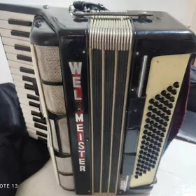 wooltmeyster akardion