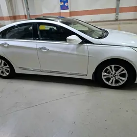 Hyundai Sonata 2010