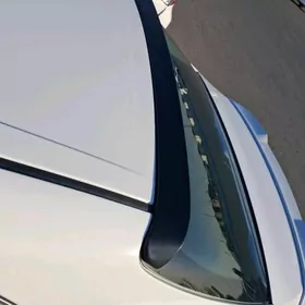 Spolet  2018-2023  Camry