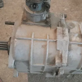 Hanter karopga 5skort