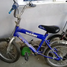 Tigir arasa täze kän ulanylady