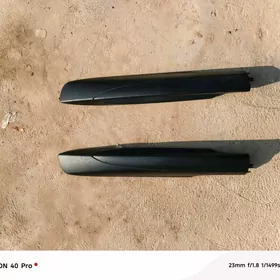 liža gapak 2010 2020 çenli