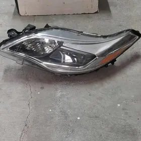 2013.15 awalon fara cyra