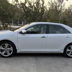 Palta 18 lk disga diska teker