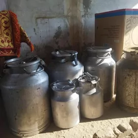 Pilýak (Фляга)