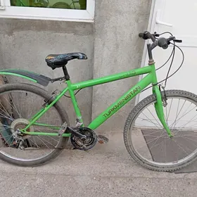 tigir gyssagly turkmenistan 26