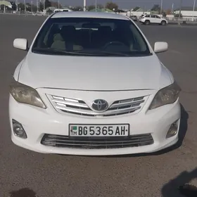Toyota Corolla 2010
