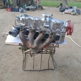 galofka rasperdiwal iki matoru