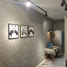 MIR-1. FULL KWARTIRA