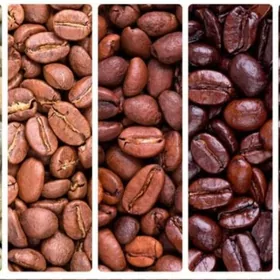 помощница бариста barista köm