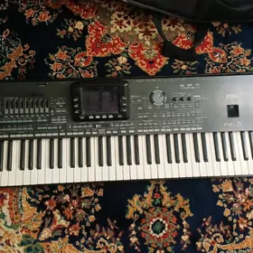 KORG pa3x 76 kl ulusy