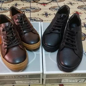 Keta mokasina krasowka