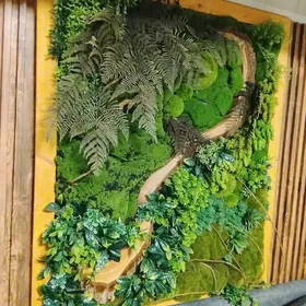 Картинка живой мох