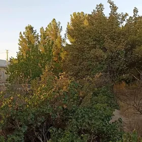 Мургар ёл Дача