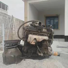 gazel krayysler mator