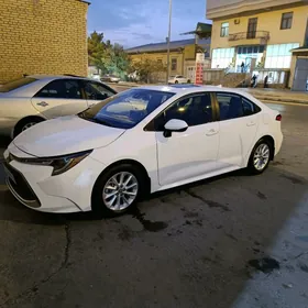 Toyota Corolla 2020