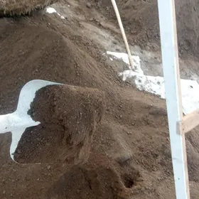 DERS GUM CAGE MİTİ  PULPA