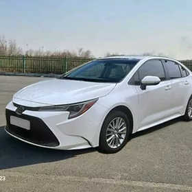 Podkapotnik Corolla 2019-2022