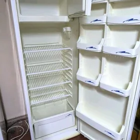 HOLODILNIK REGAL ARASSAJA