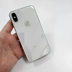 iPhone X