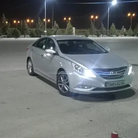 Hyundai Sonata 2011