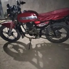 Fekon FK200-14G 2022